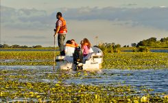 ★★ Conocé Iberá con EstiloPlus ★★